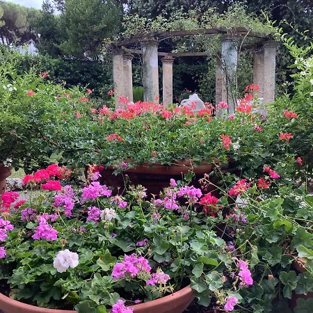 Rita Daire Vicopisano