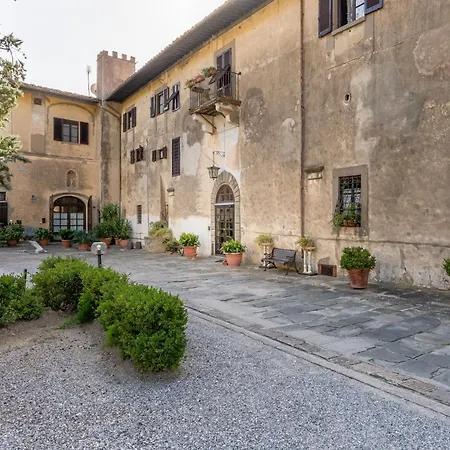 Rita Daire Vicopisano